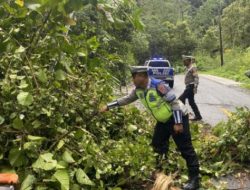 Sat Lantas Polres Lampung Barat Laksanakan Patroli dan Pembersihan dahan pohon di lintas lampung Barat