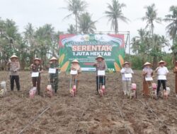 ­Penanaman Jagung 1 Juta Hektar Polres Lampung Selatan untuk Dukung Swasembada DI Way Urang Kalianda.