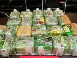 Ditresnarkoba Polda Lampung Gagalkan Penyeludupan 25 Kg Sabu.