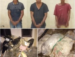 Polsek Pakuan Ratu Amankan Tersangka inisial MY (38), AS (27) dan RF (21), Karena diduga Pelaku Curi Getah Karet di PT. BLS.