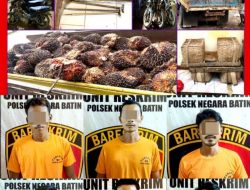 Curi 280 Tandan Buah Sawit di PT. BNCW, Enam Pria ini Diamankan Polsek Negara Batin